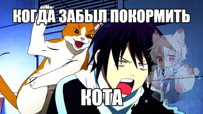 Аниме приколы на Аниме-тян » Страница 1101, kuroko no basket dubladores -  thirstymag.com