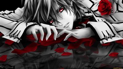 Рыцарь-вампир / Vampire Knight - аниме постер (ID#1821658088), цена: 30 ₴,  купить на Prom.ua